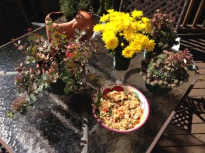 Mums, Sedum, and Hens-and-Chicks are not the traditional accompaniments to fried rice, but when the recipe itself is inauthentic, they do nicely.  At least to make the table festive.