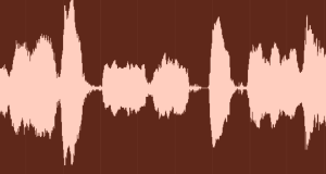 This waveform is not of me saying, "Damn! I burned the pizza!"--though that would have been clever. 