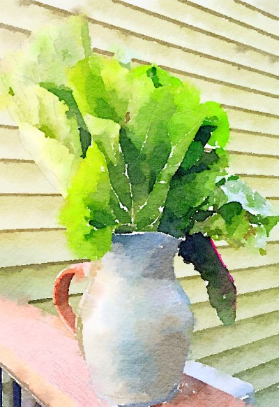 collards Waterlogue.png